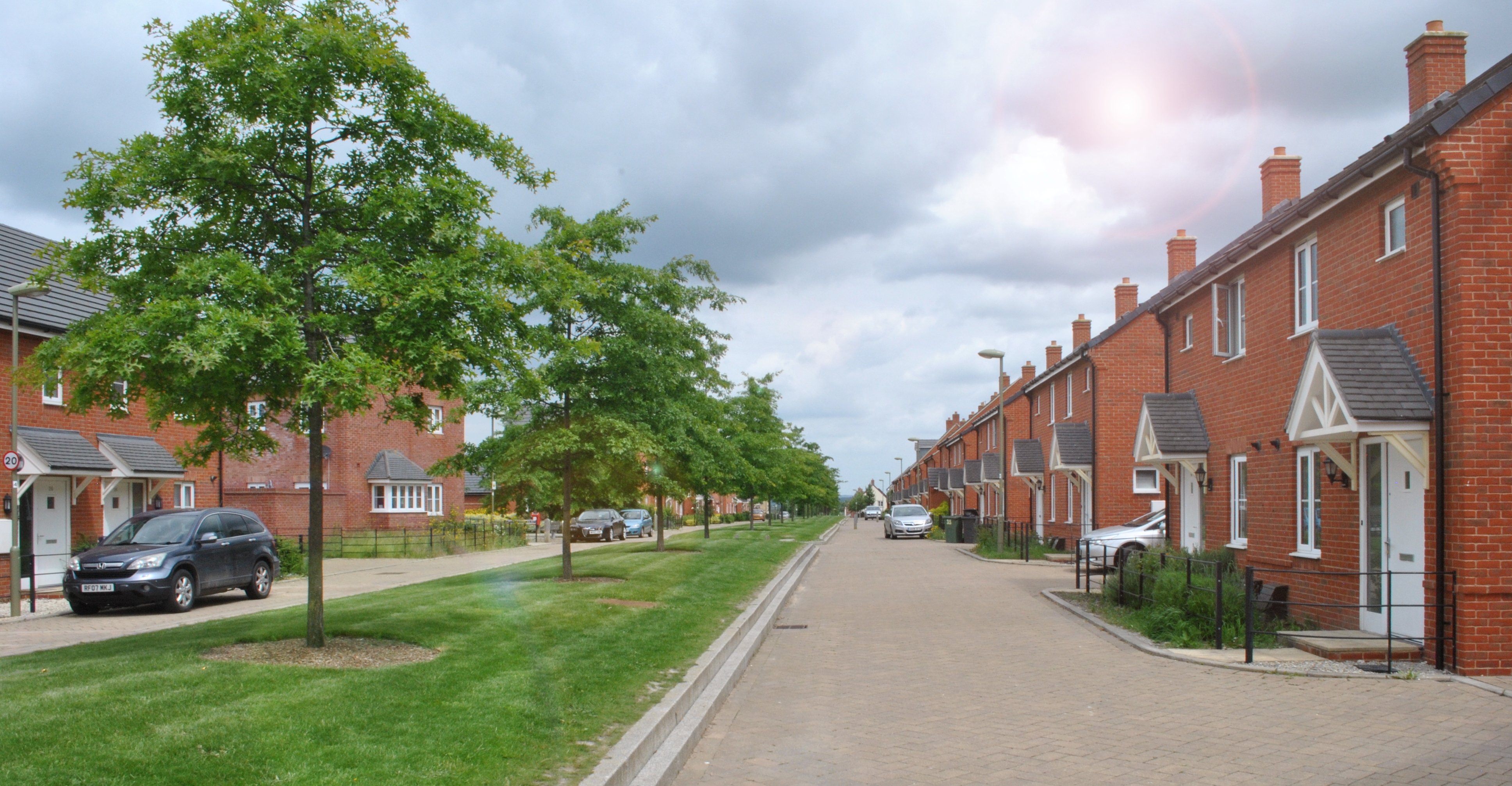 Image of a row of houses on Great Western Park with trees inbetween the houses.