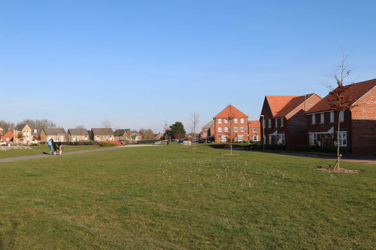 Great Western Park open space