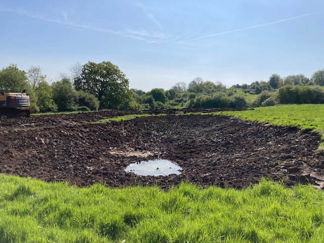 Pond preparation