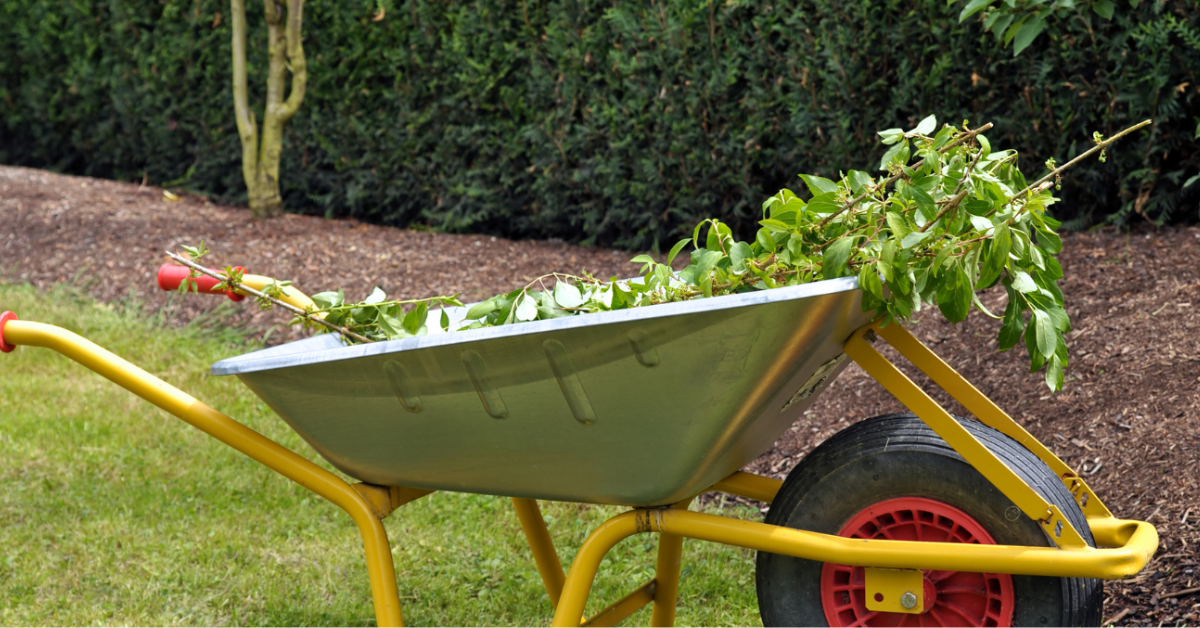 Extra garden waste in a wheelbarrow