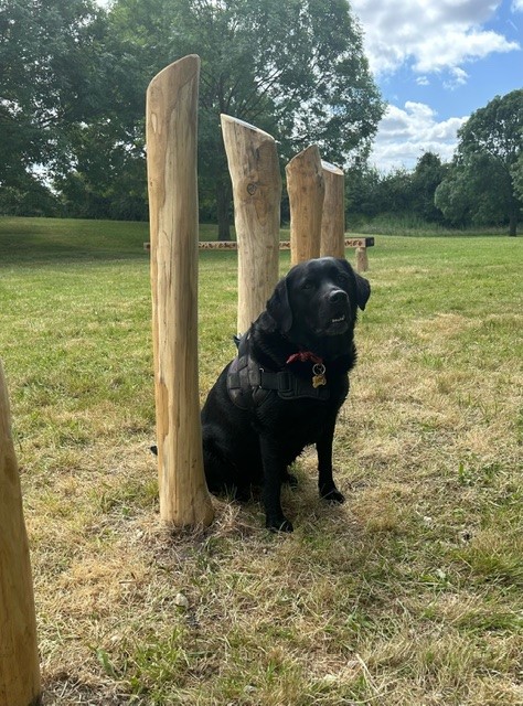 A black dog sits on the grass, attentively facing the camera. Behind the dog, three vertical wooden beams with unique shapes stand against a backdrop of trees and a partly cloudy sky, creating a serene outdoor scene.