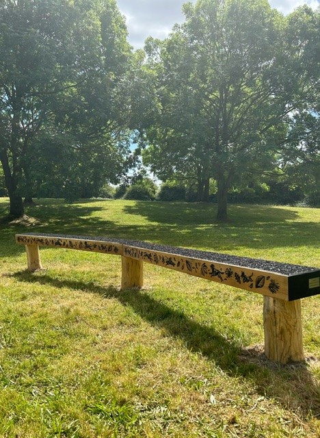 An outdoor wooden bench with intricate carvings of various animals and patterns along its top edge, set against a backdrop of lush green trees and a clear sky, offering a peaceful seating area in a park setting.