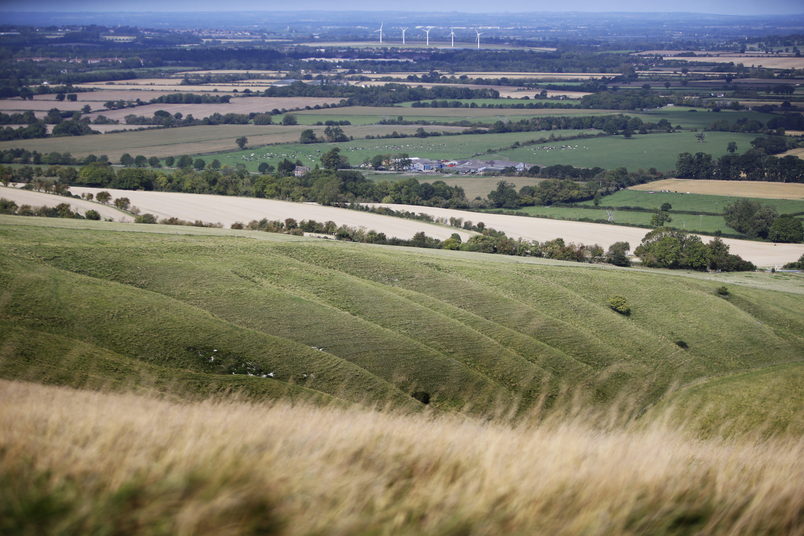 White Horse Hill