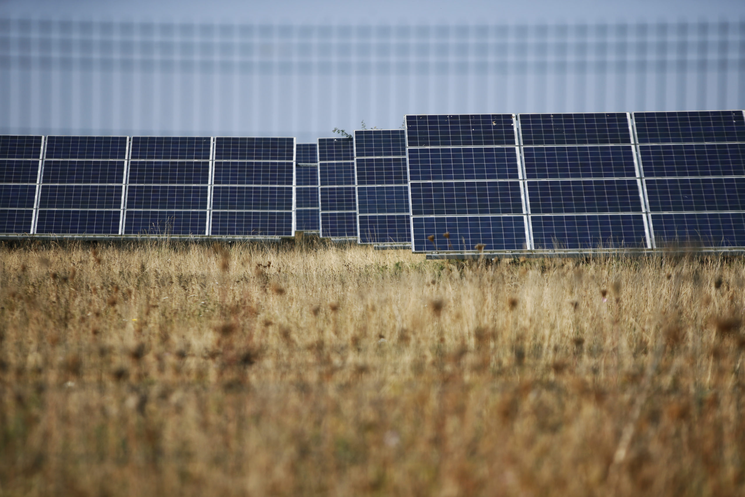 A solar farm