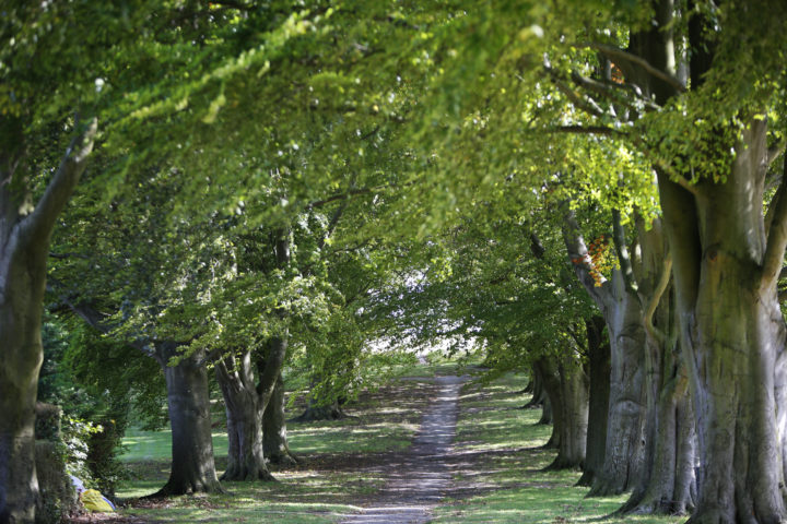 a photo of Wantage Manor Road Park