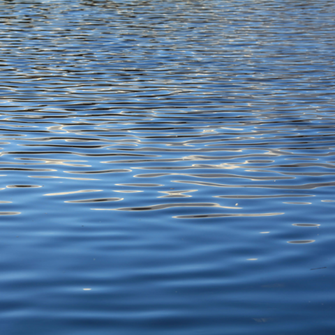 Light playing on water