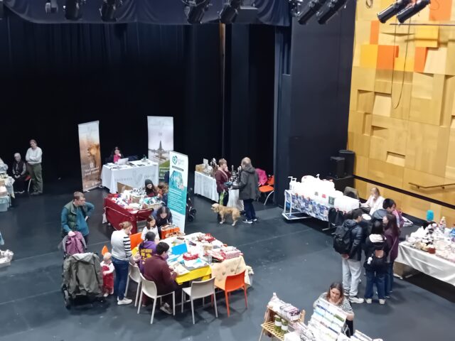 People attending the didcot eco fair